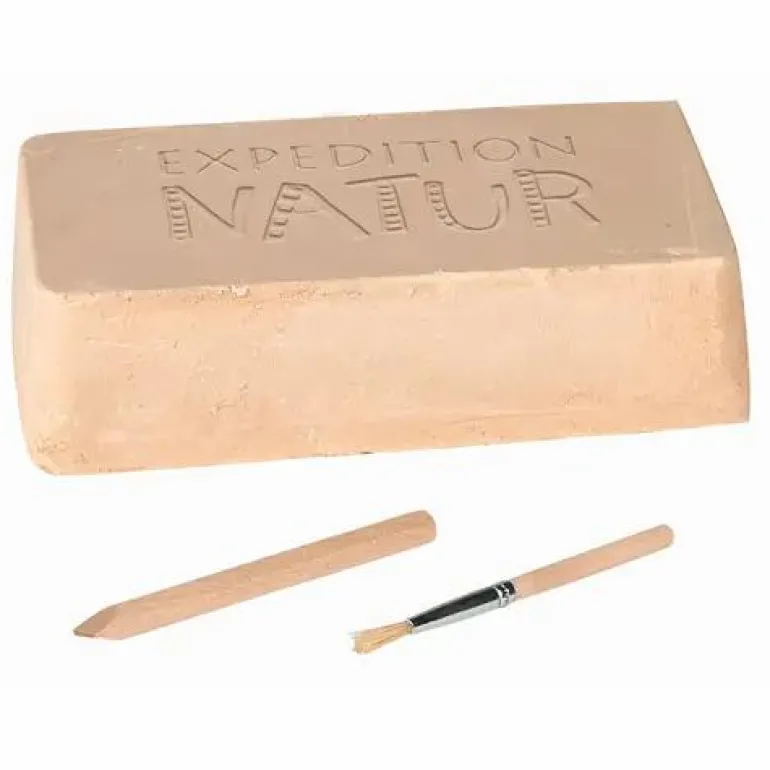 Mini-Ausgrabungssets - Expedition Natur
