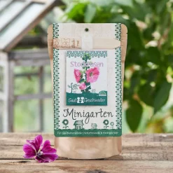 MInigarten Stockrosen