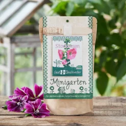 MInigarten Stockrosen