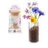Mini-Pflanzset Blumenwiese