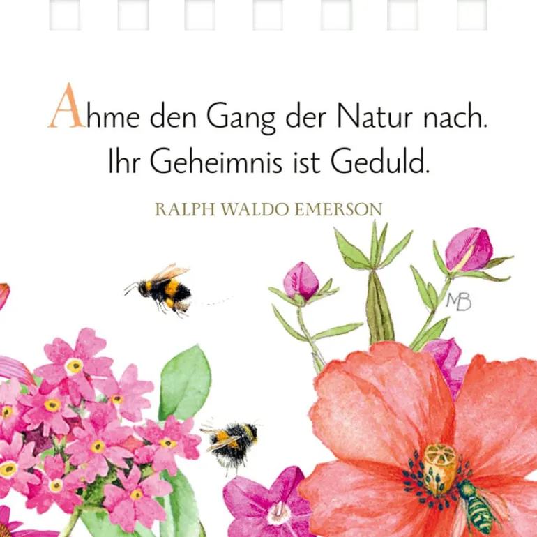 Mini-Spiralaufsteller Eine Kleine Auszeit