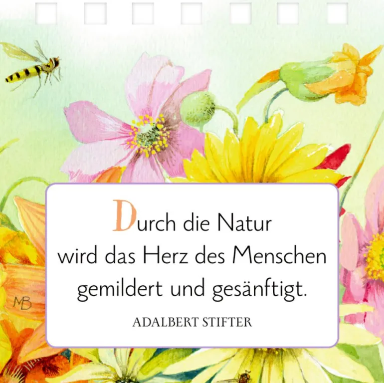 Mini-Spiralaufsteller Eine Kleine Auszeit