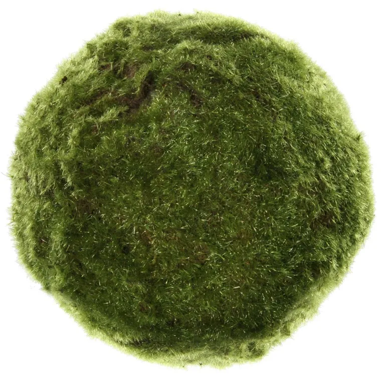 Moos Ball green 22cm