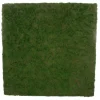 Moss wall plate 100x100x6 cm