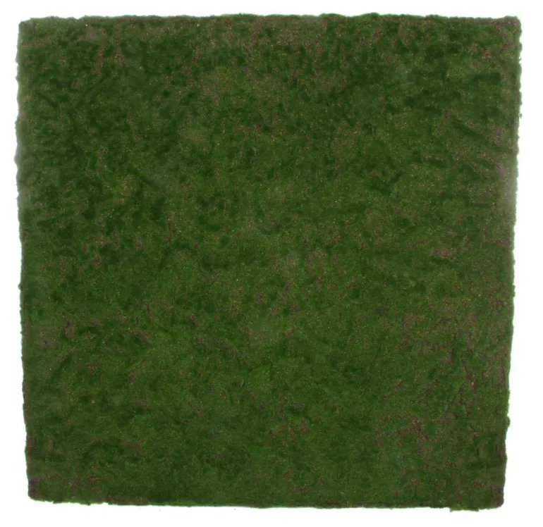 Moss wall plate 100x100x6 cm
