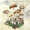 MUSHROOMS HARVEST cream Lunch-Servietten L 968560