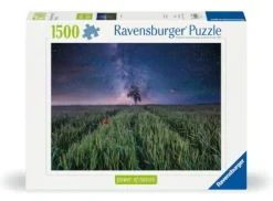 Nachthimmel über dem Kornfeld - Puzzle 1500 Teile