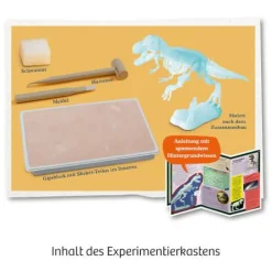 Nachtleuchtender T-REX