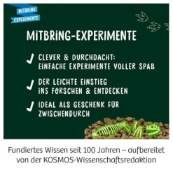 Nachtleuchtender T-REX