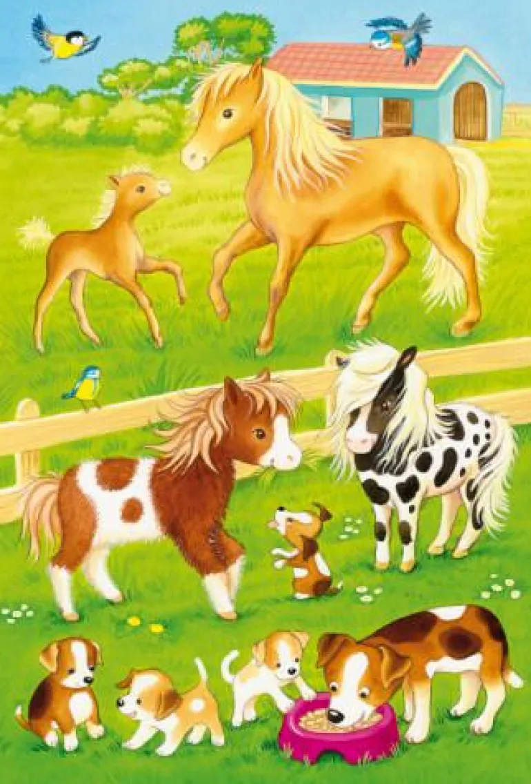 Niedliche Haustiere, 3x24 Teile