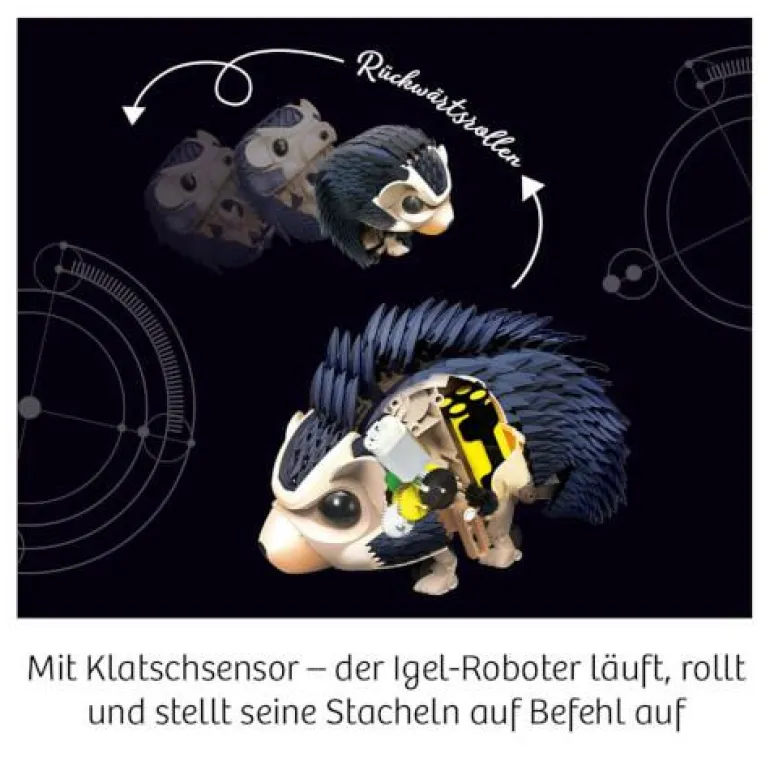 NUNA - Dein Igel-Roboter