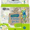 PhänoMINT - Klettergecko