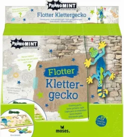 PhänoMINT - Klettergecko