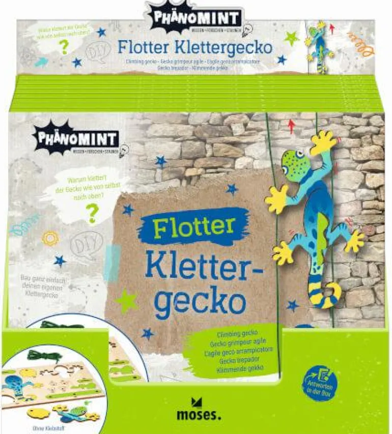 PhänoMINT - Klettergecko