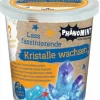 PhänoMINT - Kristalle züchten