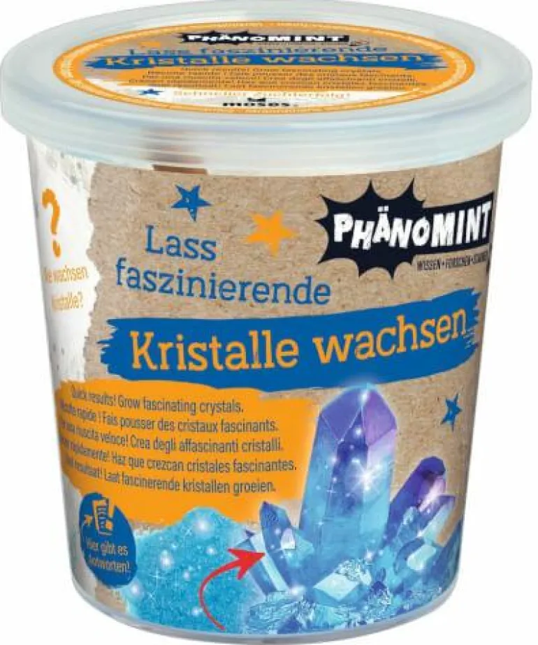 PhänoMINT - Kristalle züchten