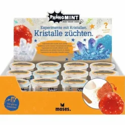 PhänoMINT - Kristalle züchten