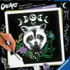 Pixie Cold: Racoon - Malen nach Zahlen