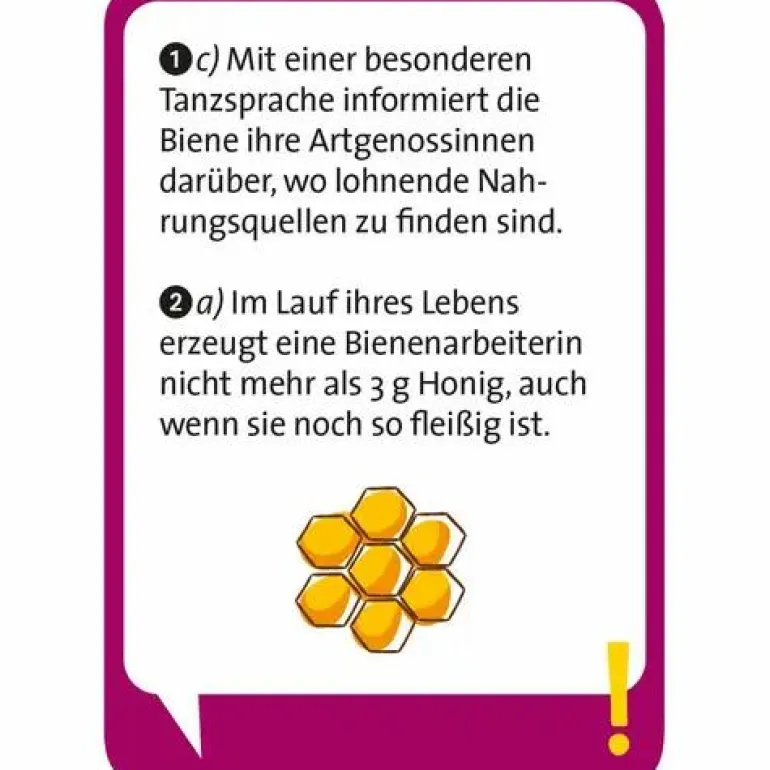 Pocket Quiz junior Unglaublich