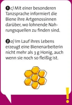 Pocket Quiz junior Unglaublich