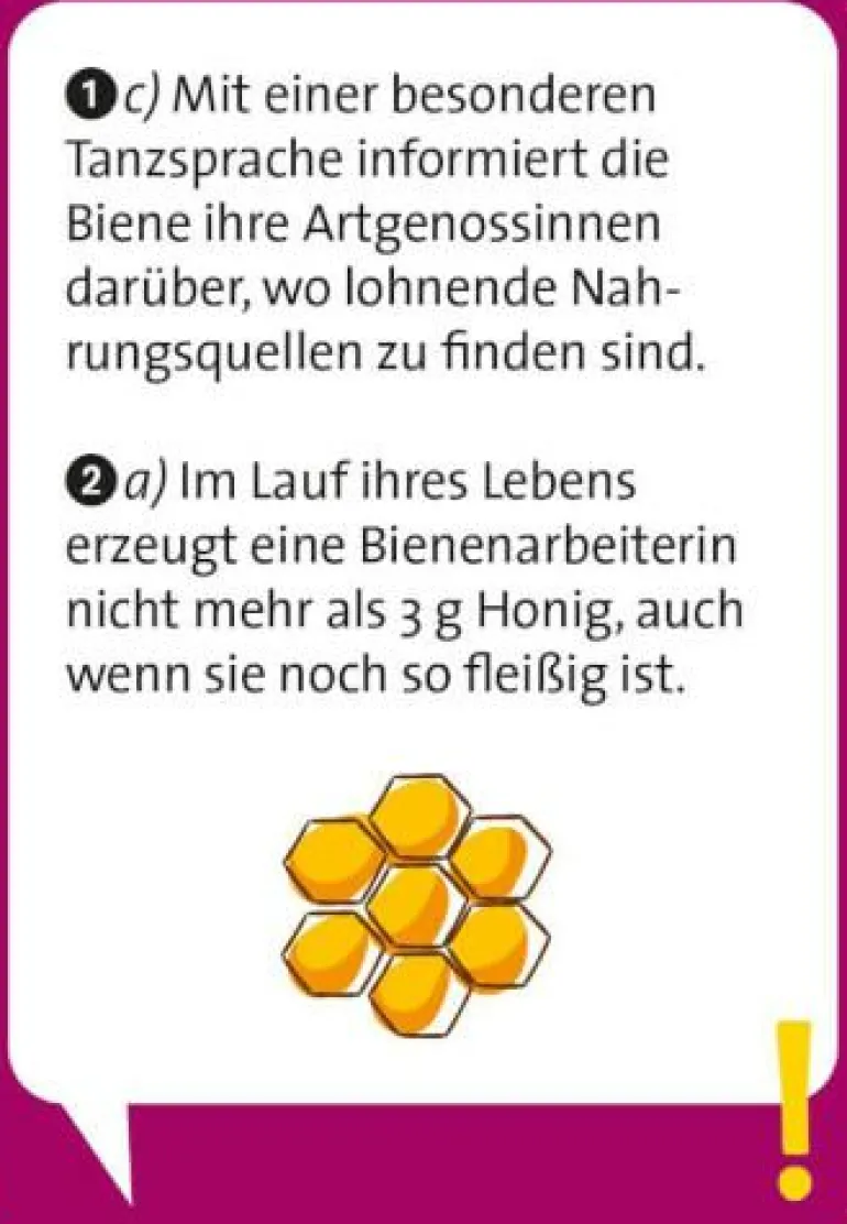 Pocket Quiz junior Unglaublich