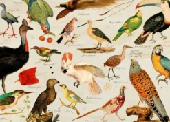 Puzzle Illustrierte Tierwelt (1000 Teile)