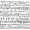 Pz Musical Notes 1000 Teile
