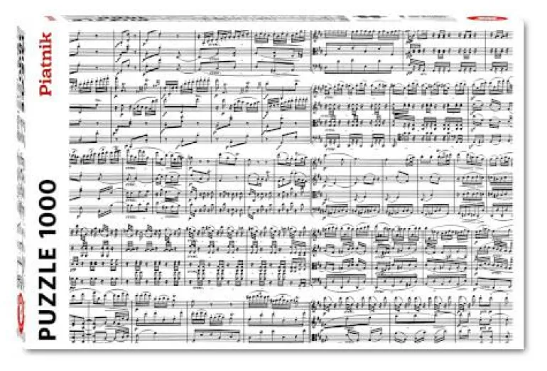 Pz Musical Notes 1000 Teile