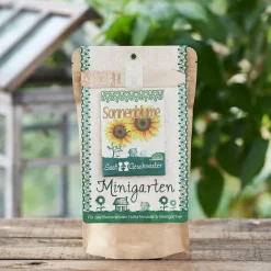 Saatgeschwister Minigarten Sonnenblume (Bio)