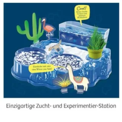 Salzkrebse - Überlebenskünstler in der Wüste