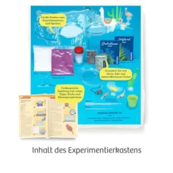 Salzkrebse - Überlebenskünstler in der Wüste