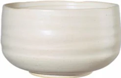 Schale, Hasu