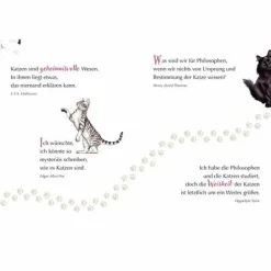 Schöne Grüße Miau! - Engel Auf Samtpfoten