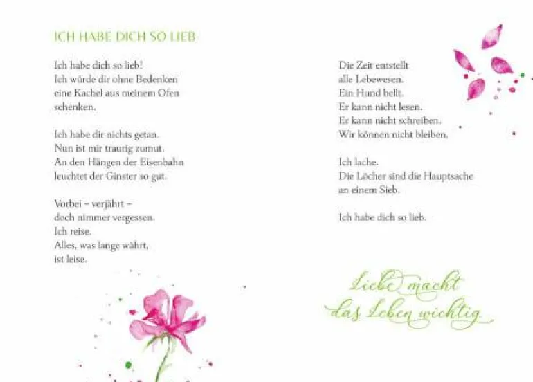 Schöner lesen! No. 41: Überall ist Wunderland (Rin