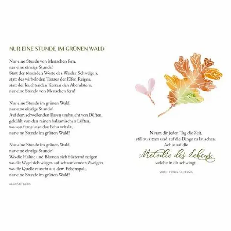 Schöner Lesen! No. 56 Wie Ein Spaziergang im Wald