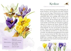 Schöner lesen! No.42: Farbenpracht & Blütenzauber