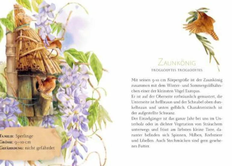Schöner lesen! No.43: Gezwitscher & Flügelschlag -