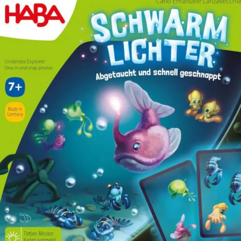 Schwarmlichter