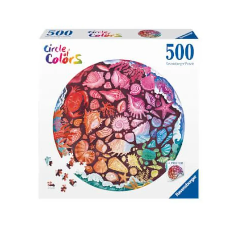 Seashells - Puzzle 500 Teile
