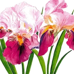 Servietten 33x33cm Sweet Iris