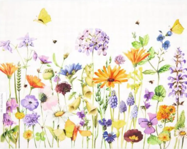Tischsets GartenLiebe (2St.) - M.Bastin