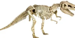 T-Rex World - Ausgrabungs-& Gips-Set T-Rex