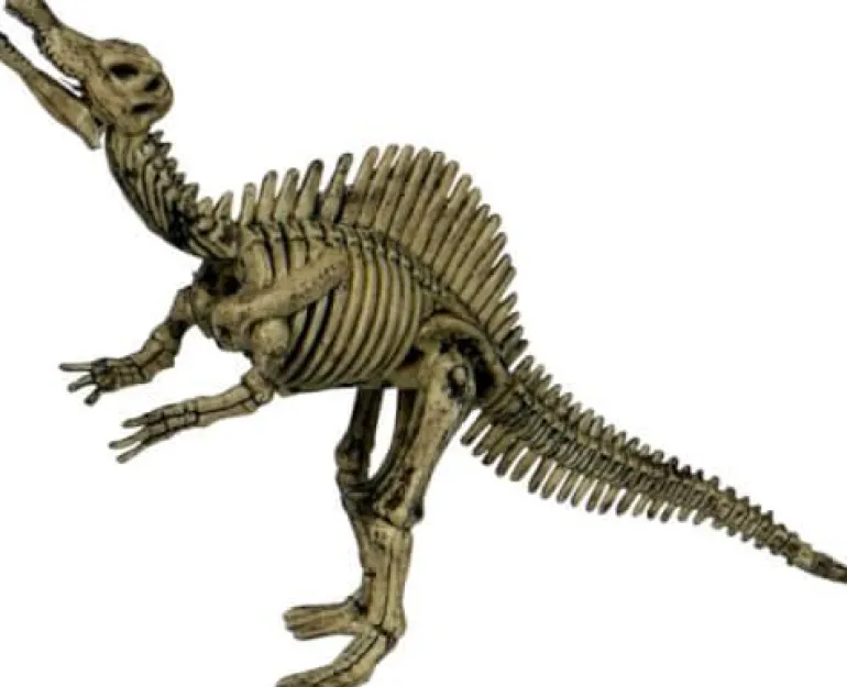 T-Rex World - Ausgrabungsset Spinosaurus