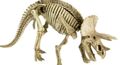 T-Rex World - Ausgrabungsset Triceratops