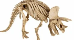 T-Rex World - Großes Ausgrabungsset Triceratops
