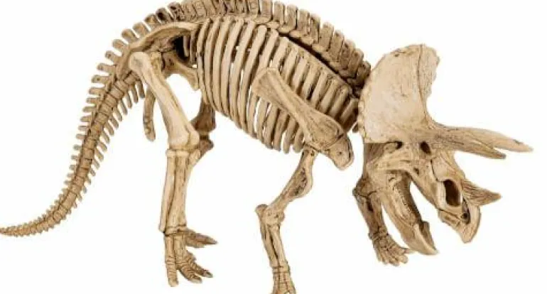 T-Rex World - Großes Ausgrabungsset Triceratops