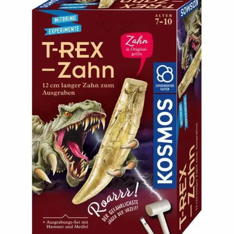 T-REX-Zahn - 12 cm langer Zahn zum Ausgraben