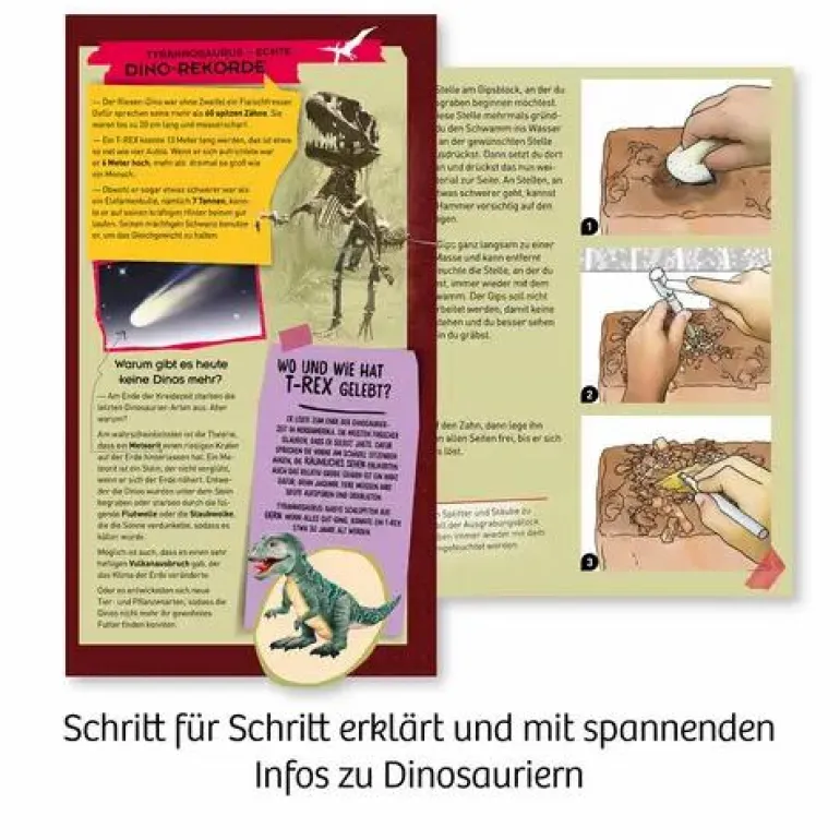 T-REX-Zahn - 12 cm langer Zahn zum Ausgraben