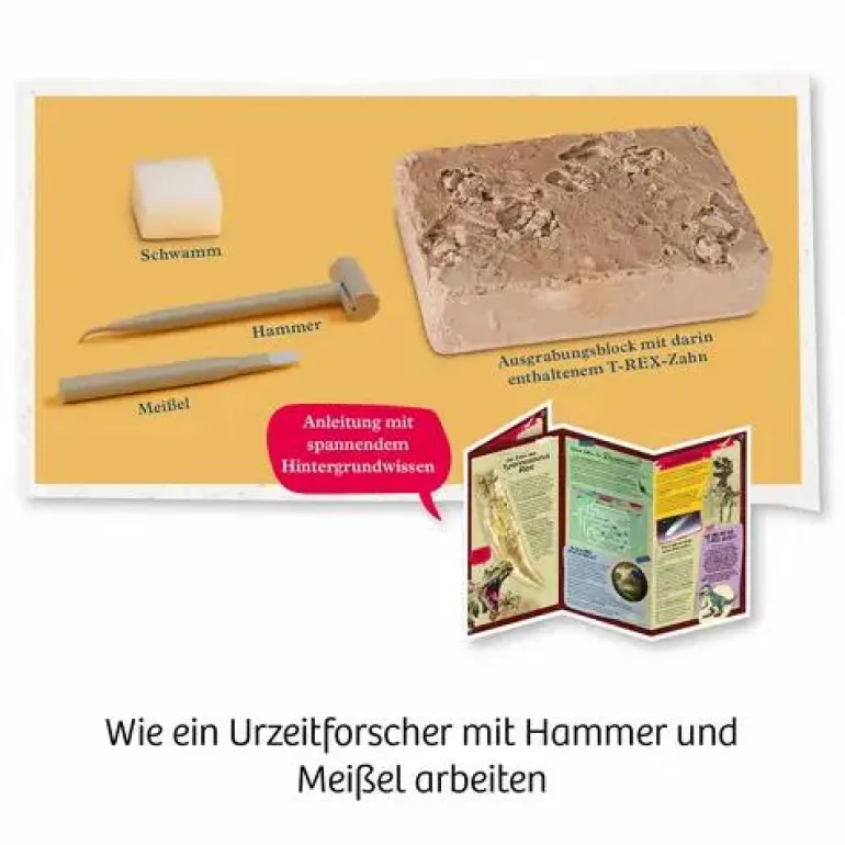 T-REX-Zahn - 12 cm langer Zahn zum Ausgraben
