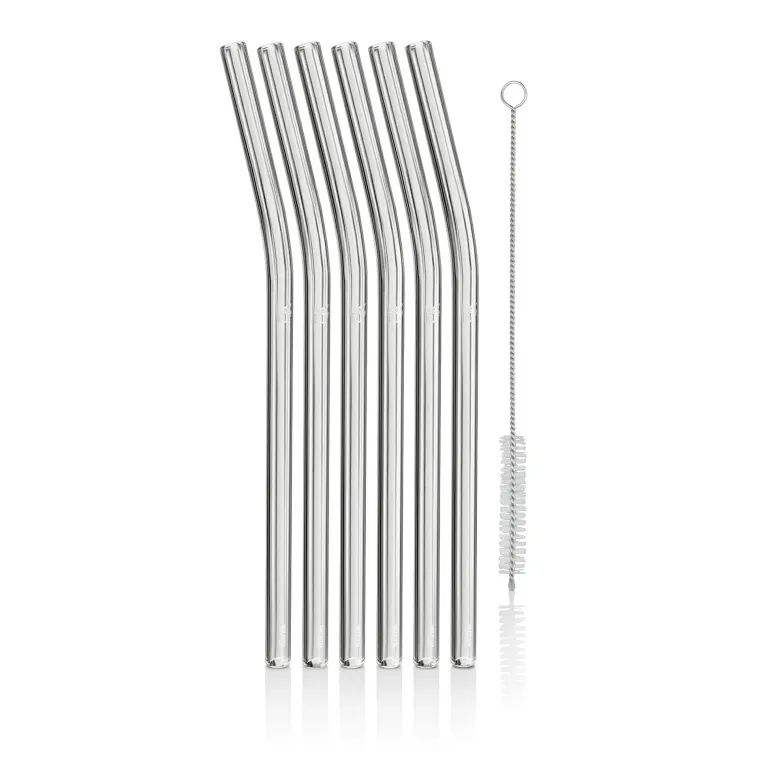 Trinkhalm-Set Baric Glas 6-teilig mit Reinigungsbü